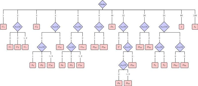 Point group symmetry decision tree for fullerenes